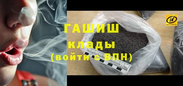 apvp Гусев