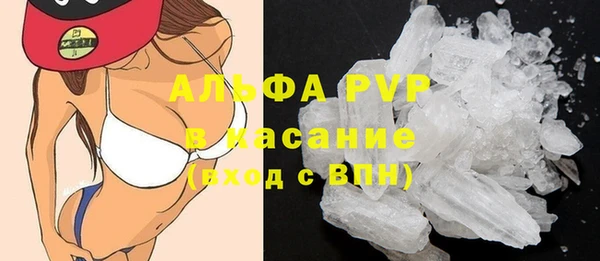 apvp Гусев