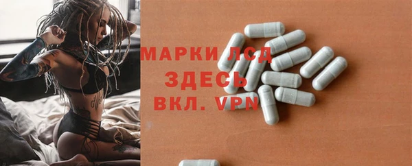 apvp Гусев