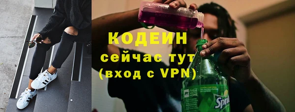 apvp Гусев