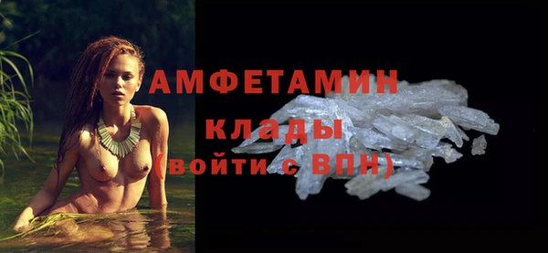 apvp Гусев