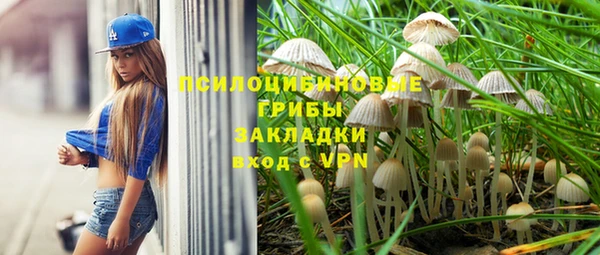 apvp Гусев