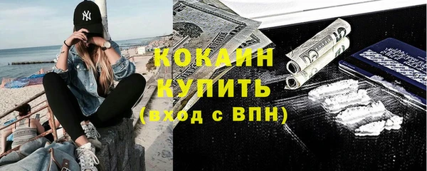 apvp Гусев