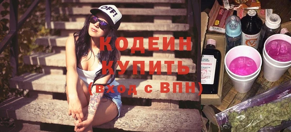 apvp Гусев