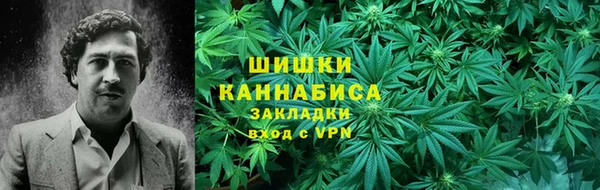 apvp Гусев