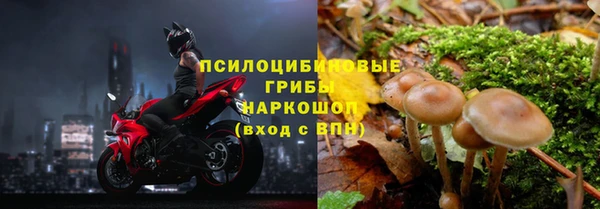 альфа пвп Гусь-Хрустальный